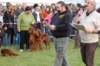 dsc_0431_small.jpg