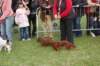 dsc_0440_small.jpg