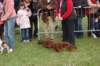 dsc_0441_small.jpg