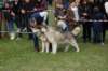 dsc_0443_small.jpg