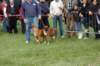 dsc_0444_small.jpg