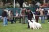 dsc_0447_small.jpg