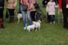 dsc_0455_small.jpg