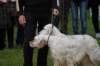 dsc_0457_small.jpg