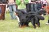 dsc_0458_small.jpg