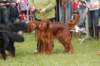dsc_0459_small.jpg
