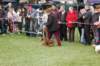 dsc_0464_small.jpg