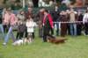 dsc_0468_small.jpg
