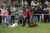 dsc_0470_small.jpg