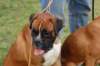 dsc_0475_small.jpg