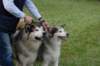 dsc_0476_small.jpg