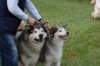 dsc_0478_small.jpg