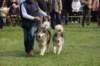 dsc_0480_small.jpg