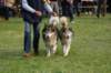 dsc_0481_small.jpg