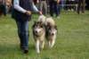 dsc_0482_small.jpg