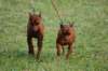 dsc_0485_small.jpg