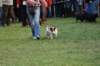 dsc_0489_small.jpg