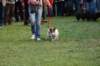 dsc_0490_small.jpg