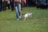 dsc_0491_small.jpg