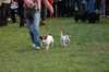 dsc_0492_small.jpg