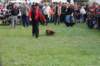 dsc_0496_small.jpg