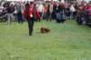dsc_0497_small.jpg