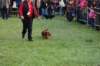 dsc_0500_small.jpg