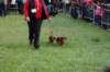 dsc_0502_small.jpg