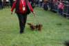 dsc_0503_small.jpg