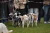 dsc_0512_small.jpg