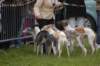 dsc_0520_small.jpg