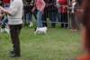 dsc_0561_small.jpg