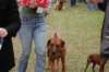 dsc_0596_small.jpg