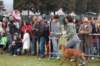 dsc_0601_small.jpg
