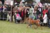 dsc_0612_small.jpg