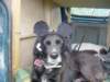 dsc00034_small.jpg
