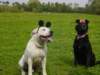 dsc00064_small.jpg