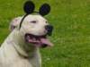 dsc00065_small.jpg