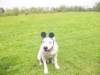 dsc00068_small.jpg