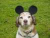 dsc00072_small.jpg