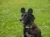 dsc00074_small.jpg