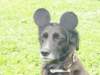 dsc00076_small.jpg