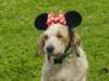 dsc00079_small.jpg