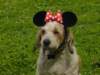 dsc00080_small.jpg