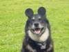dsc00082_small.jpg