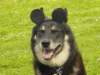 dsc00083_small.jpg