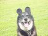 dsc00086_small.jpg