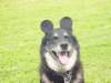 dsc00087_small.jpg