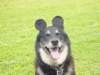 dsc00088_small.jpg