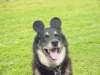 dsc00089_small.jpg